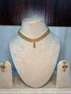 Rajwadi simple gold set